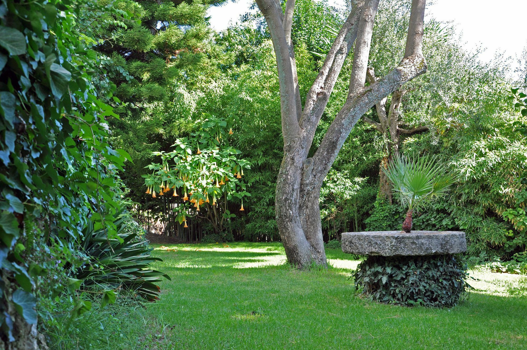 Villa Domenicale Ágios Márkos Kültér fotó